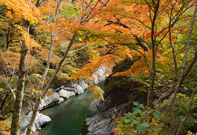 紅葉イメージ　中津峡