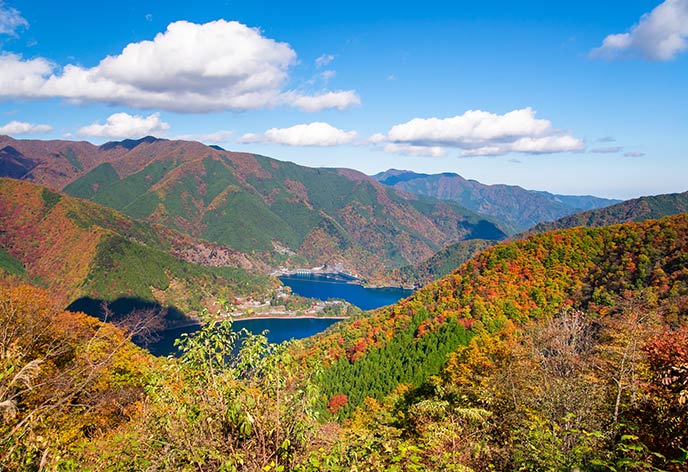 紅葉イメージ　奥多摩