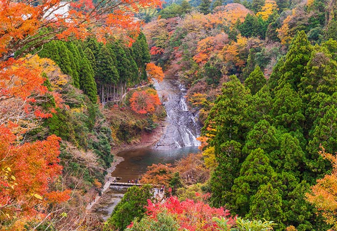 紅葉イメージ　養老渓谷