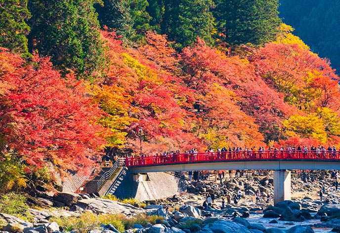 紅葉イメージ　香嵐渓
