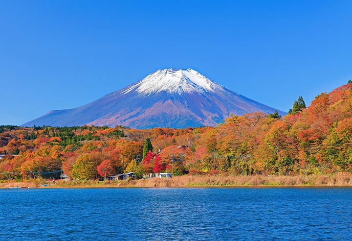紅葉イメージ　山中湖
