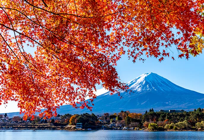 紅葉イメージ　河口湖