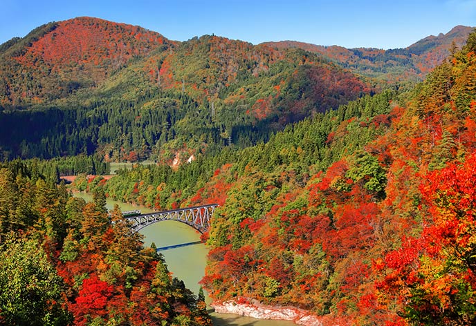 紅葉イメージ　奥只見
