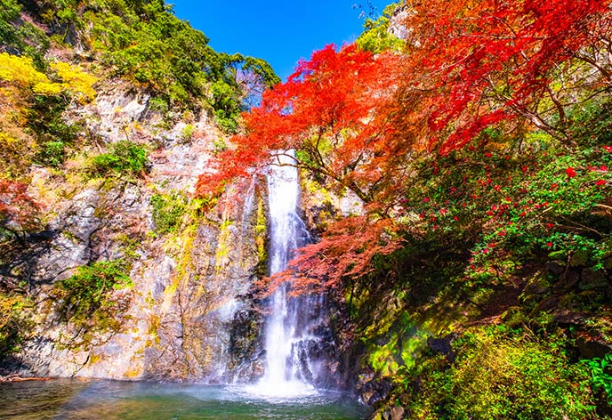 紅葉イメージ　箕面