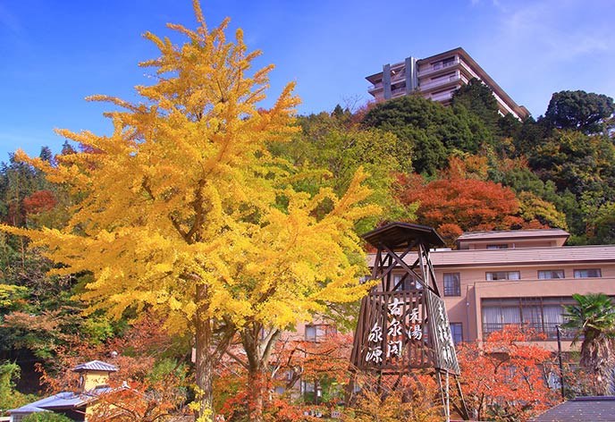 紅葉イメージ　有馬温泉