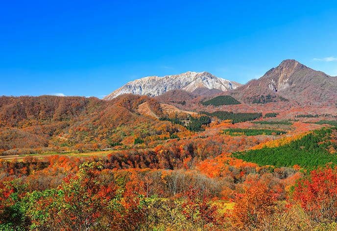 紅葉イメージ　大山
