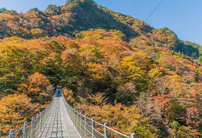 紅葉イメージ　祖谷温泉