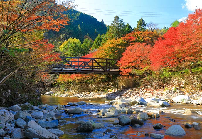 紅葉イメージ　奥津渓