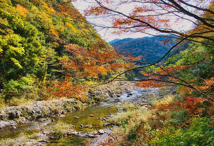 紅葉イメージ　長門峡
