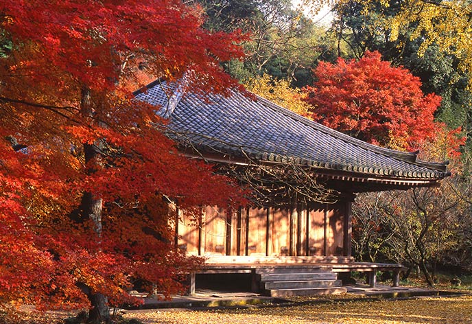 紅葉イメージ　富貴寺