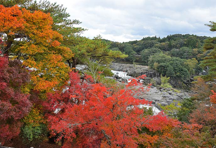 紅葉イメージ　曽木の滝公園