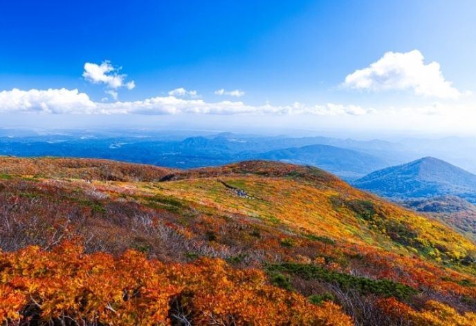 東北の秋