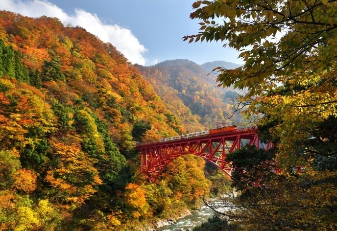 黒部峡谷トロッコ電車（富山県）