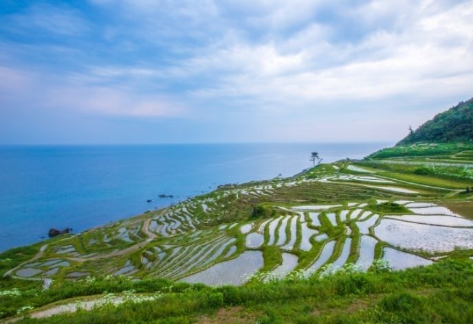 白米千枚田（石川県）