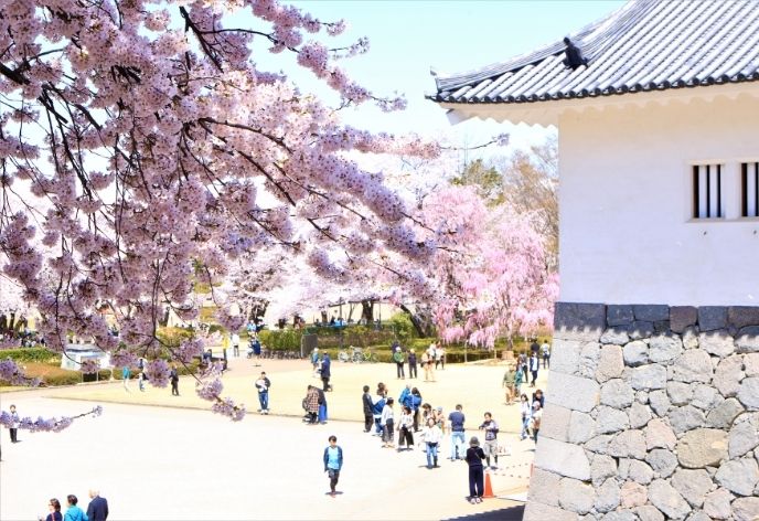 霞城公園の広場