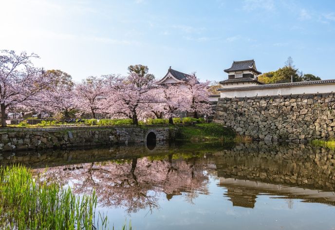 舞鶴公園