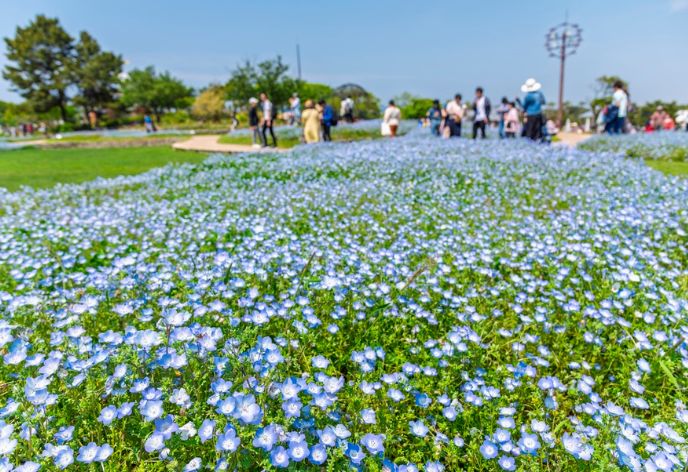 海の中道海浜公園