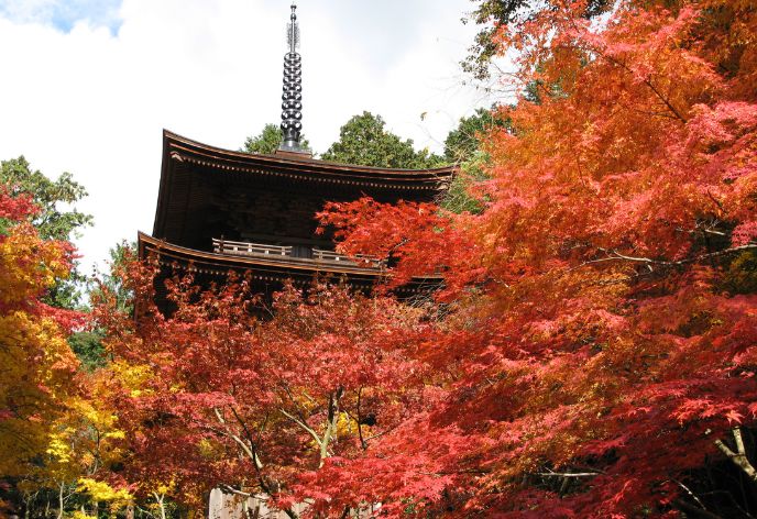金剛輪寺