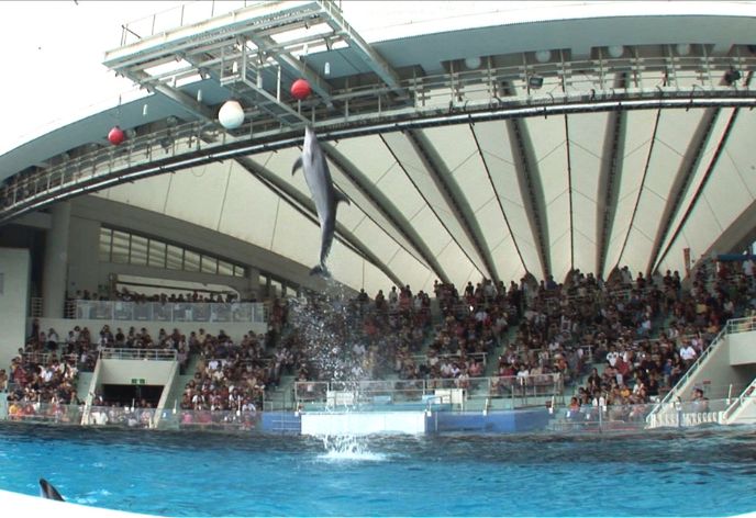 マリンワールド海の中道