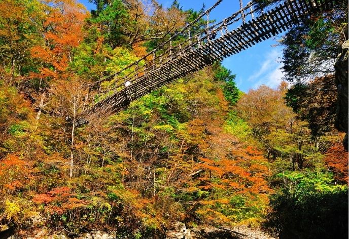 かずら橋（紅葉）