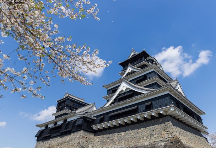 熊本城（桜）