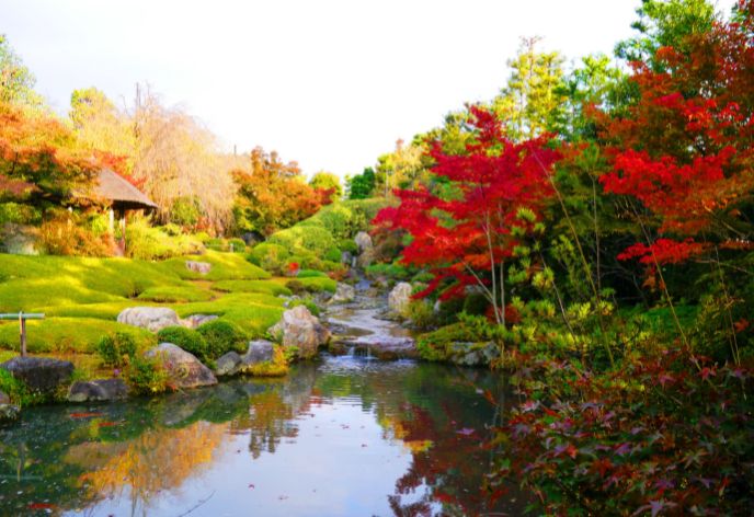 妙心寺　退蔵院