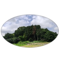 那珂川町　片平城日帰りツアー