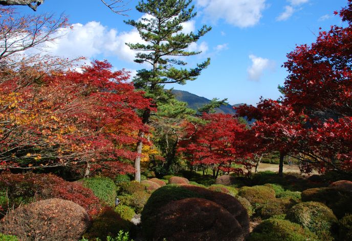 蓬莱園