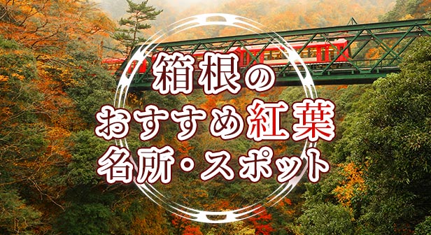 箱根のおすすめ紅葉名所・スポット