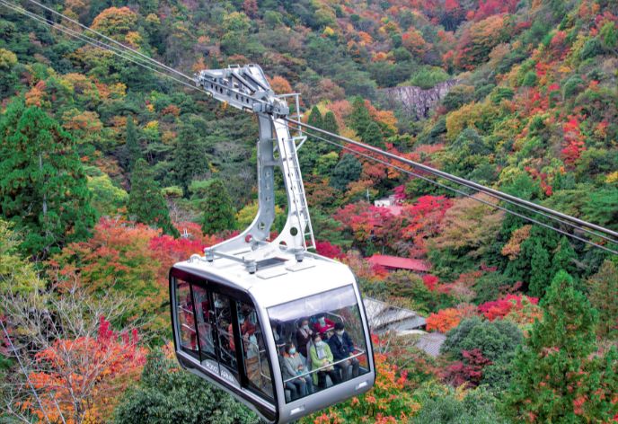 六甲山・六甲有馬ロープウェー