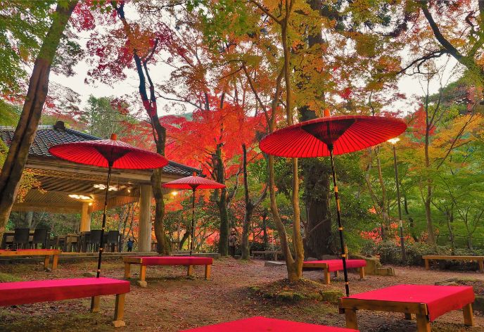 瑞宝寺公園