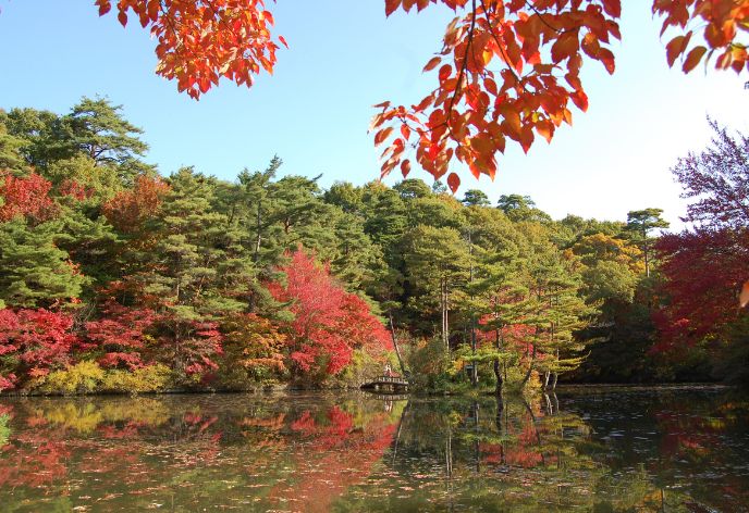 神戸市立森林植物園