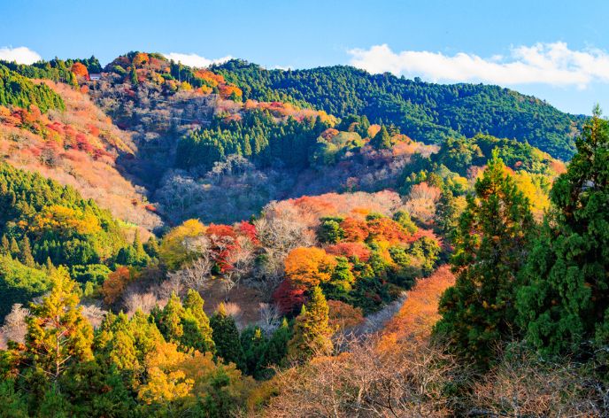 吉野山