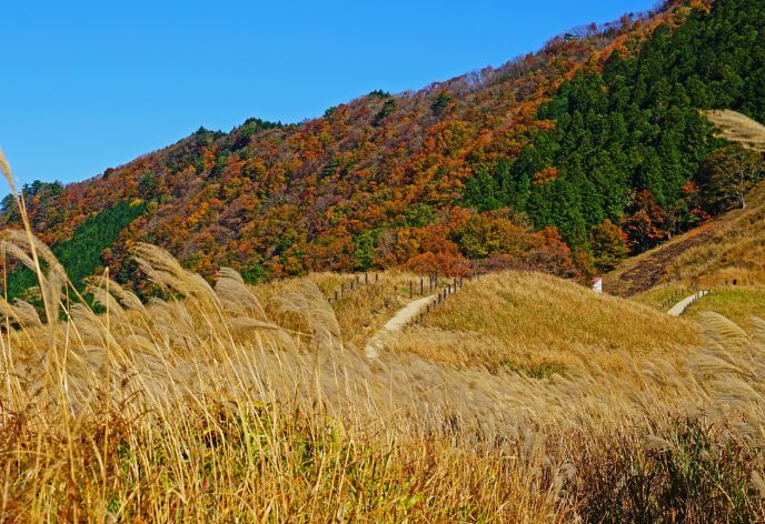 曽爾高原
