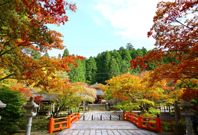 高野山