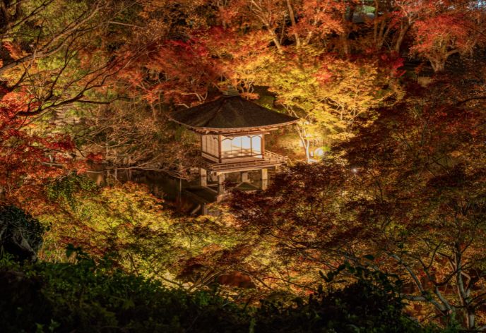 西之丸庭園