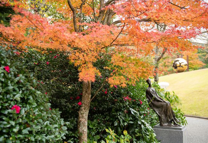 彫刻の森美術館（紅葉）.jpg