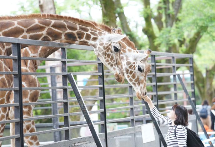 宇都宮動物園