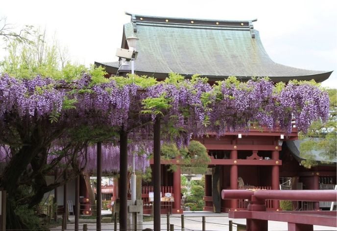 笠間稲荷神社