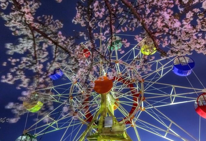日立市かみね公園