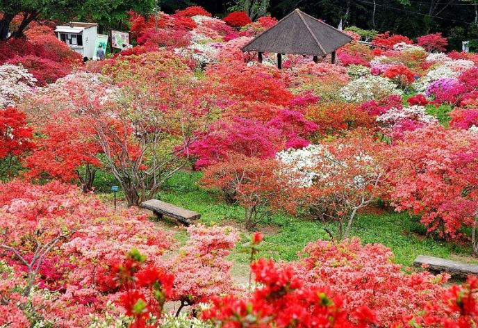 笠間つつじ公園