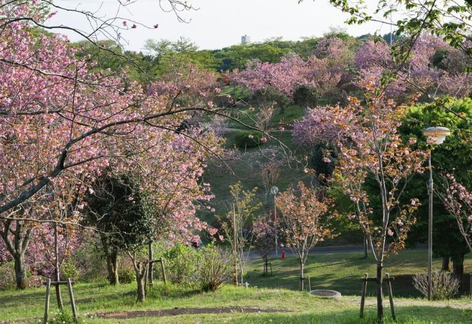 静峰ふるさと公園