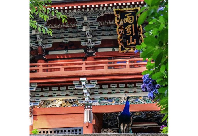 雨引観音（雨引山楽法寺）