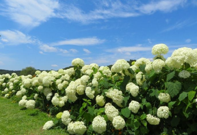 涸沼自然公園
