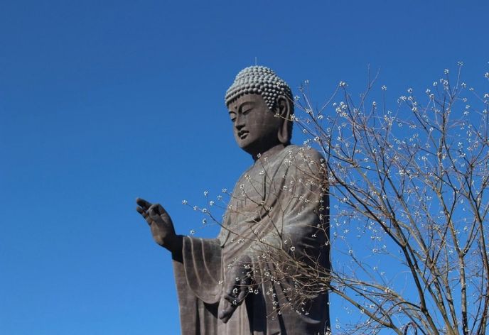 牛久大仏