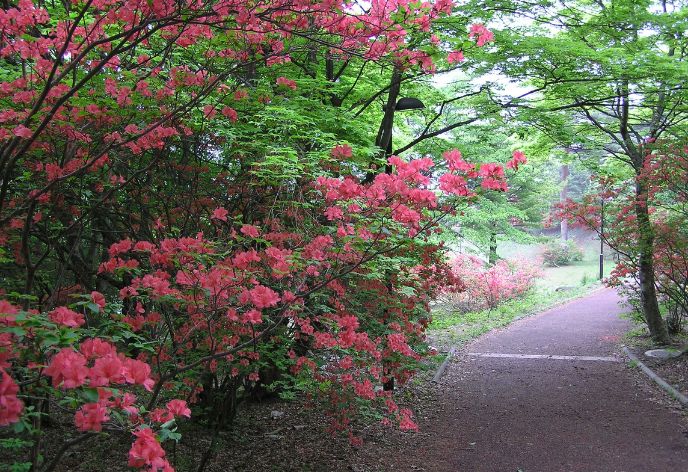 上ノ山公園