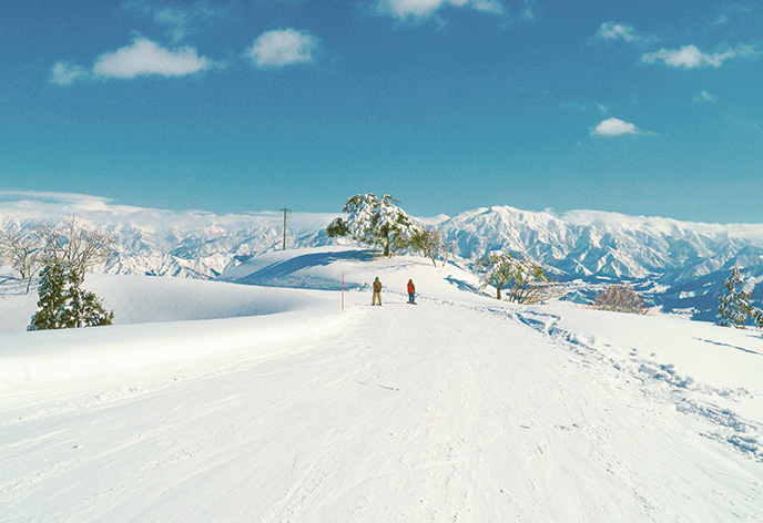 ゲレンデ（イメージ）