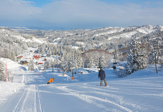 ゲレンデ（イメージ）