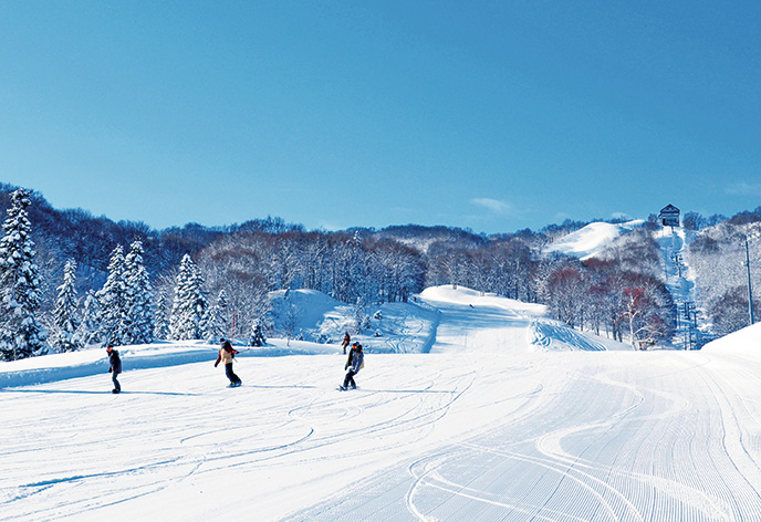 ゲレンデ（イメージ）