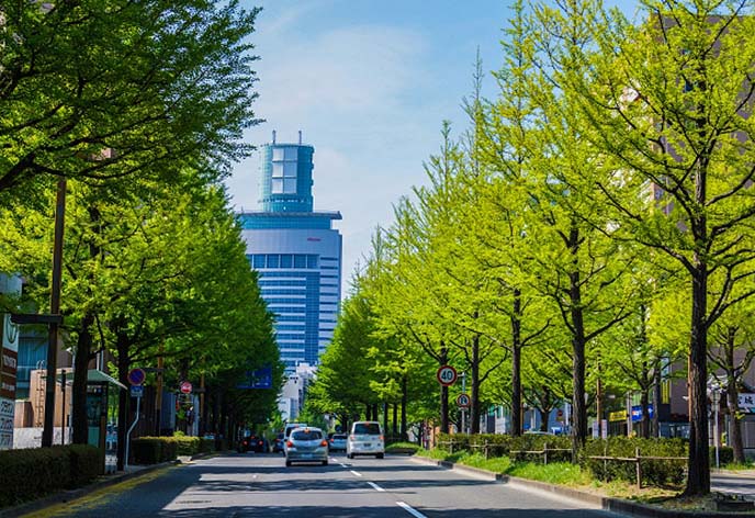 【仙台の見どころ 3】抜群のアクセス